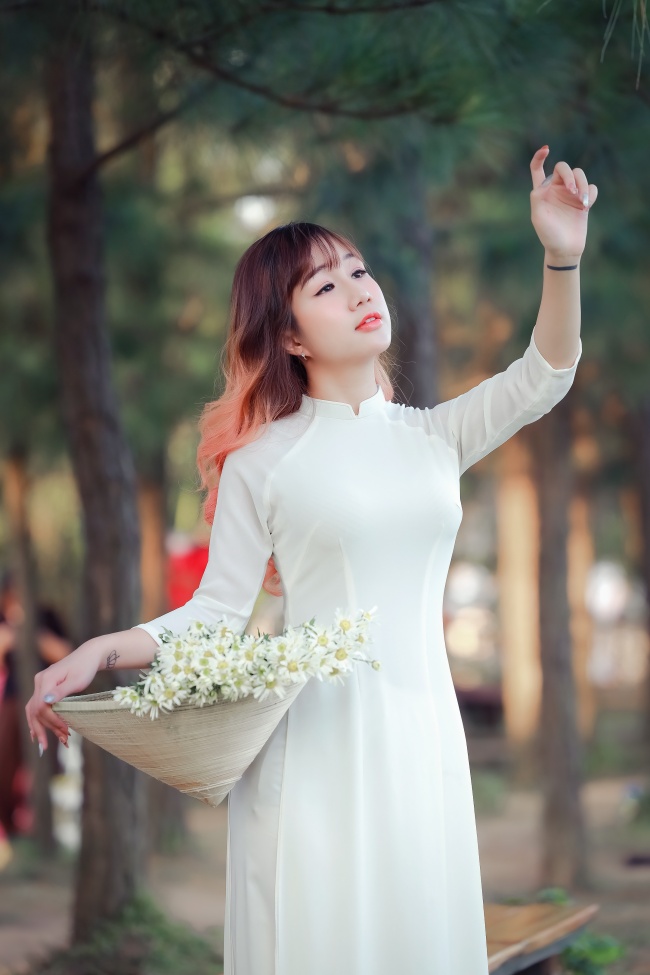 牡丹在线免费观看 更新1